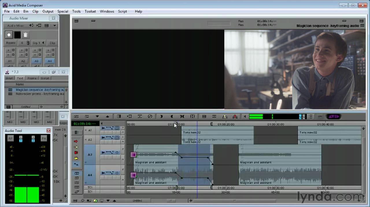 Avid Audio Screen Grab